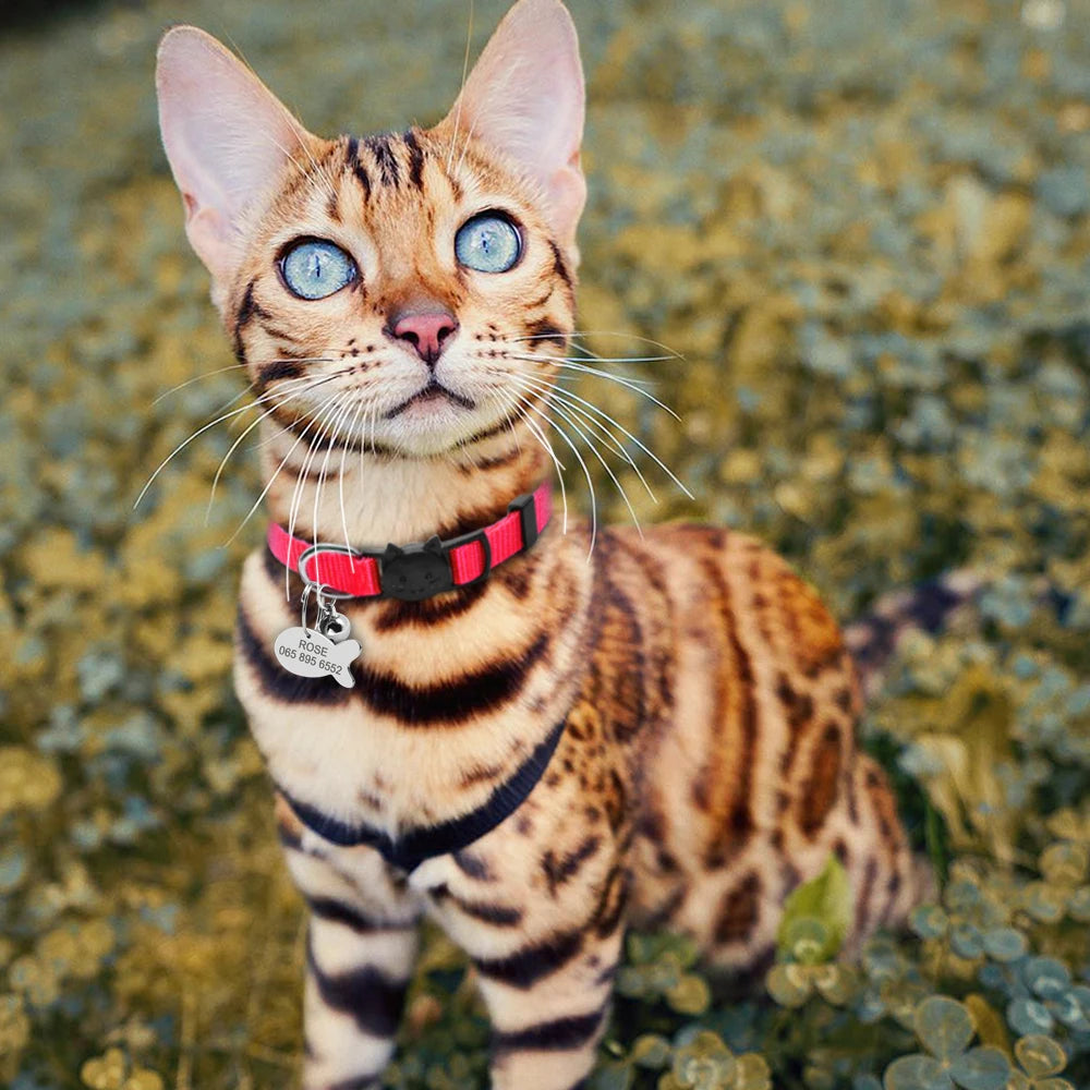 Personalized Cat Collar with Engraved Fish Tag – Adjustable Nylon Collar for Cats & Small Dogs