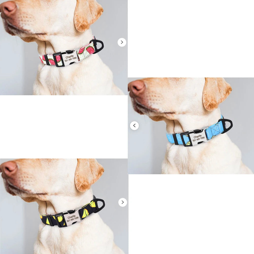 Personalized Nylon Dog Collar with Engraved Nameplate – Custom ID Tag for Small, Medium & Large Dogs
