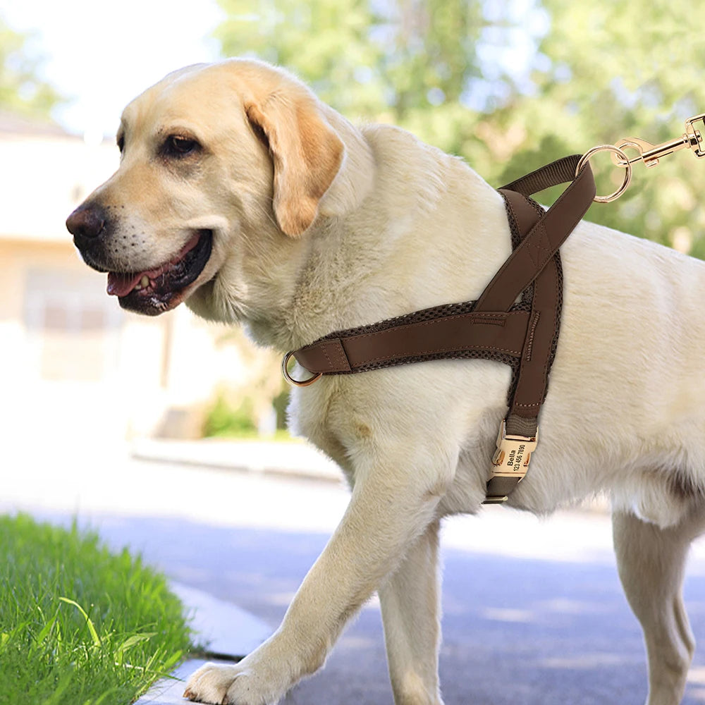 Personalized Nylon Dog Harness – No Pull Adjustable Vest with Free Engraving for Medium & Large Dogs