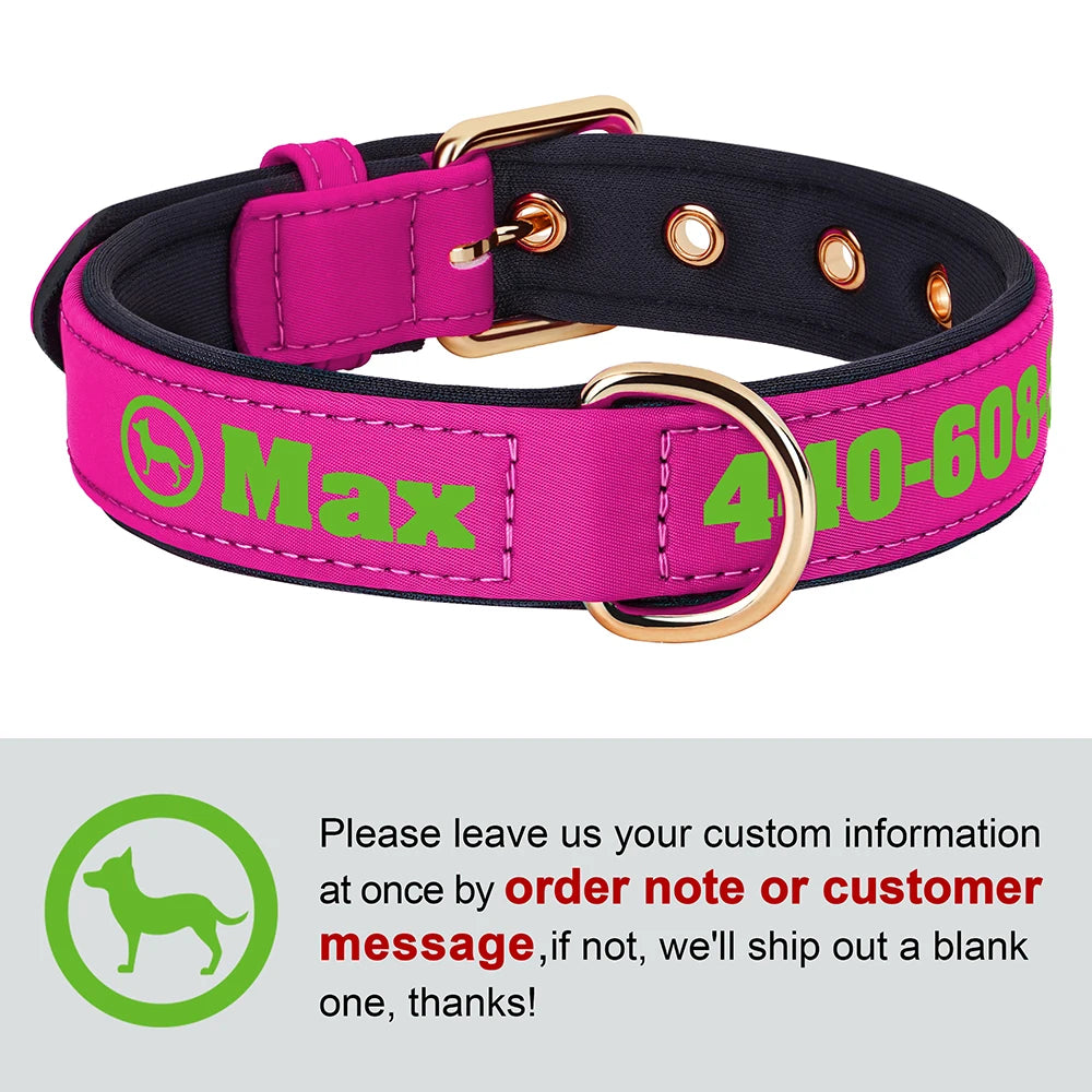 Custom Leather Dog Collar – Free Name & Number | Soft Padded & Adjustable