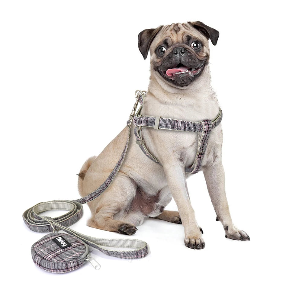 Adjustable Pet Harness & Leash Set – Soft Nylon Dog & Cat Vest