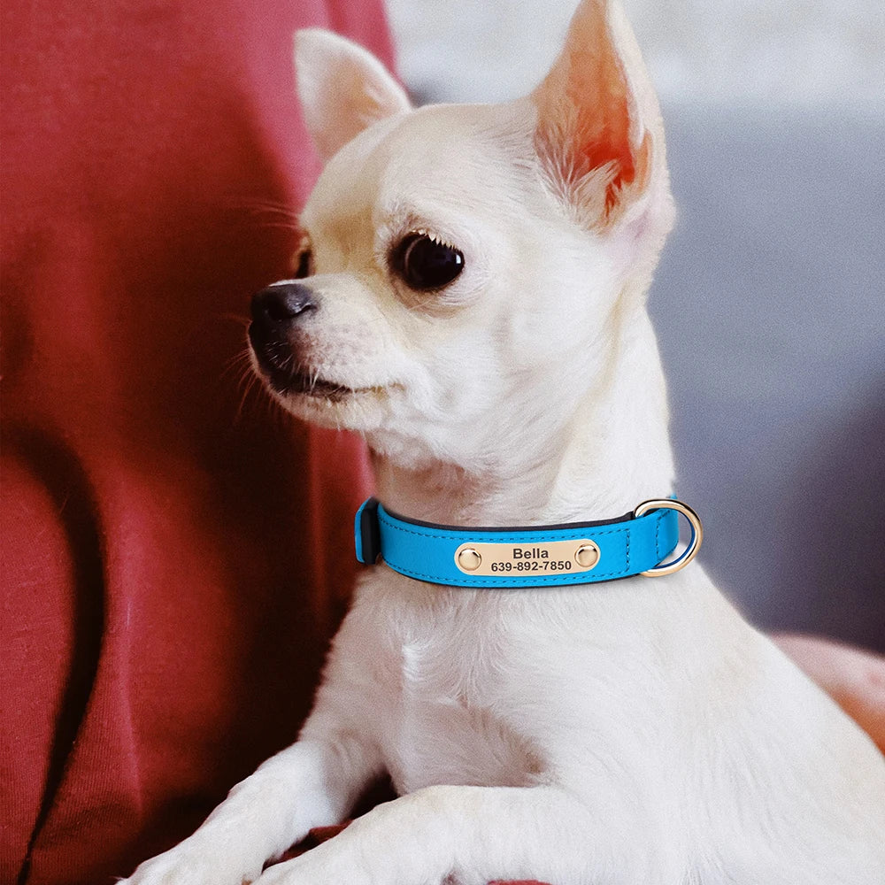 Custom Nylon Dog Collar – Waterproof Personalized Pet Collar with Engraved ID Nameplate for Small & Medium Dogs