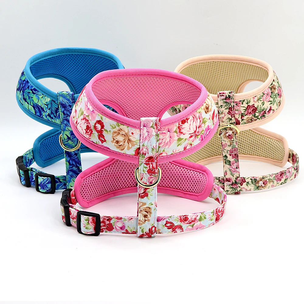 Cute Printed Dog Harness & Leash Set – Soft Mesh Adjustable Vest for Small & Medium Dogs & Cats (Chihuahua, Yorkie, Pug, Bulldog, Kitten)