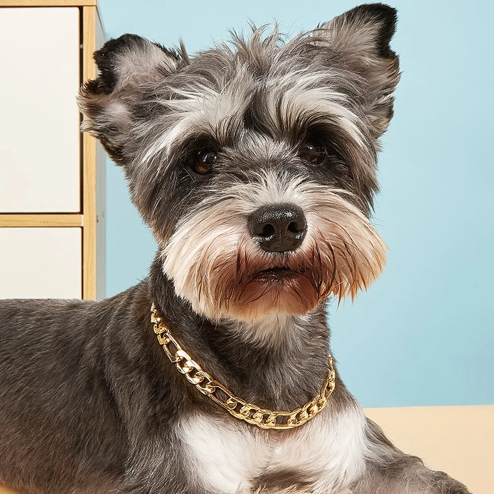 Pet Dog Chain Choke Collar Necklace – Gold Metal Training Collar for Dogs & Cats