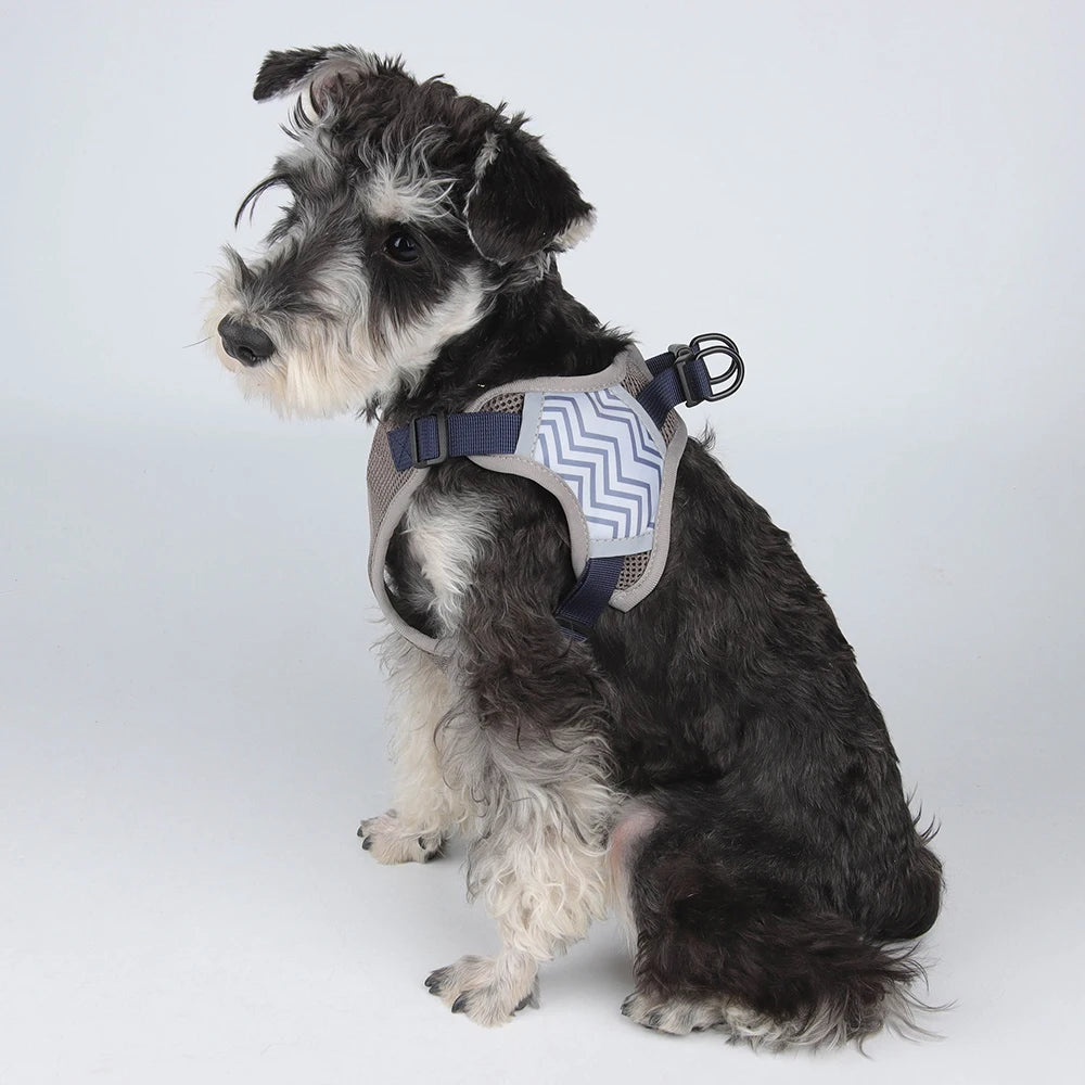 Reflective Dog Harness And Leash Set Adjustable Pet Puppy Harness Vest For Small Medium Dogs Walking Dog Accessories 150cm Leash