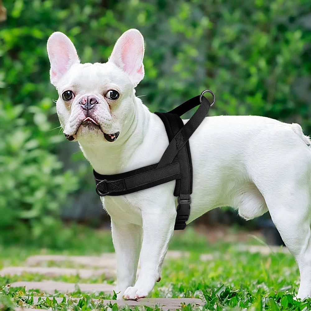 Nylon Padded Dog Harness Vest – Adjustable No Pull Soft Pet Harness for Small & Medium Dogs (French Bulldog, Chihuahua, Puppy, Cat Vest)