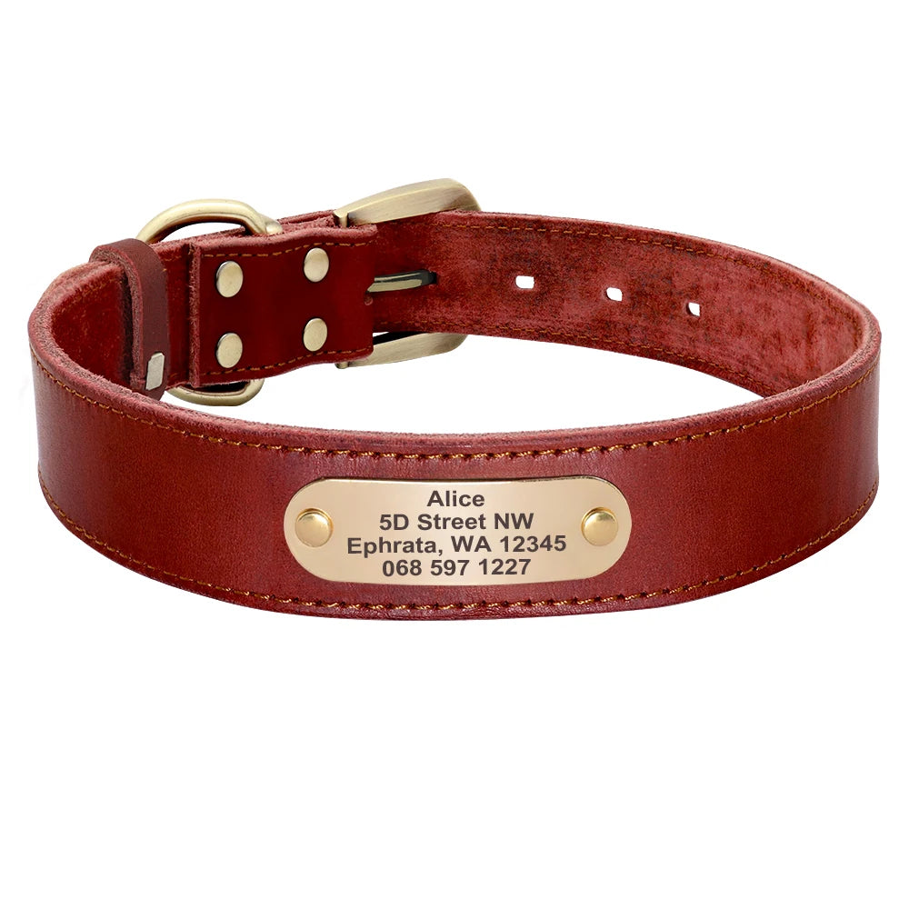 🦴 Custom Leather Dog Collar & Leash Set — Personalized for Safety & Style 🐾