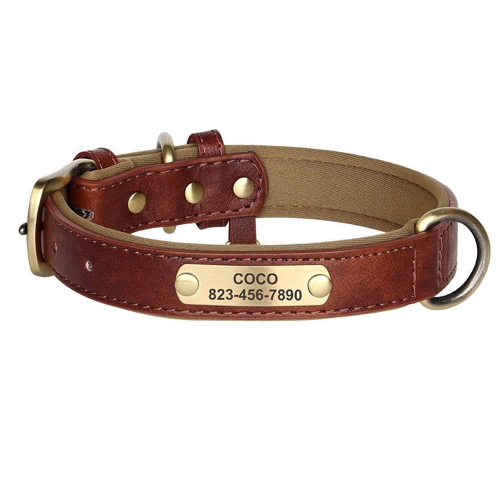 ✨ Personalized Dog Collar & Leash Set – Custom Engraved PU Leather for Small to Large Dogs (Pitbull-Friendly!)