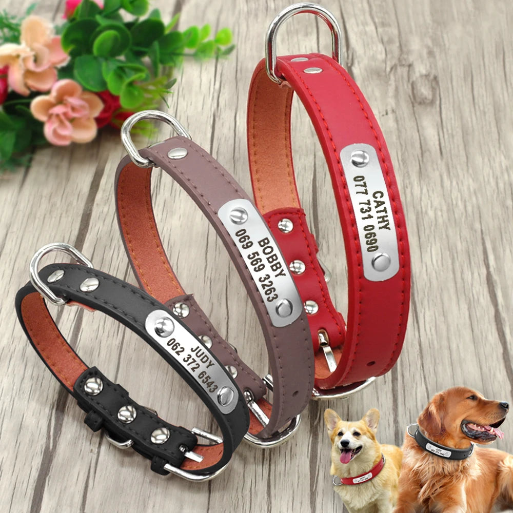 Custom Dog Collar – Personalized ID Tag Collar for Small, Medium, and Large Dogs
