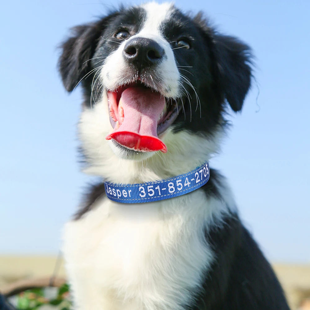 🦴 Custom Embroidered Reflective Dog Collar – Personalized Pet ID Name Nylon Collar for Small, Medium & Large Dogs