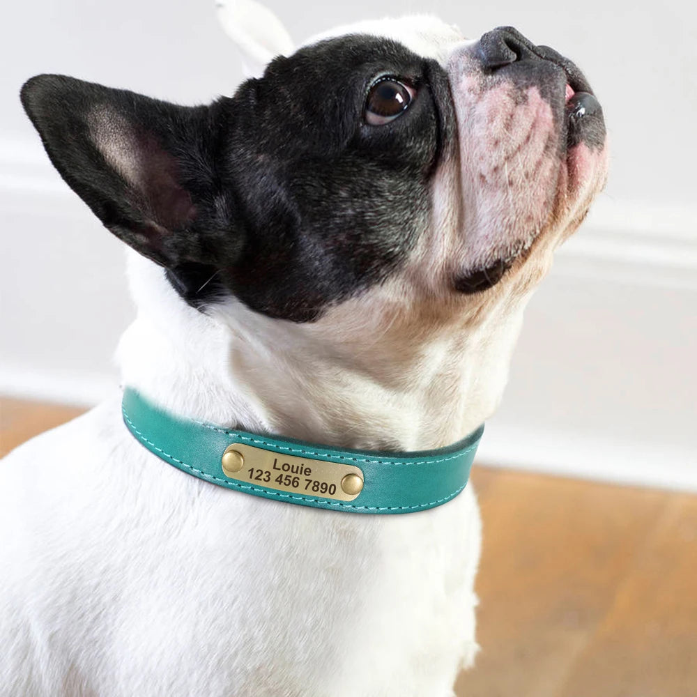 Custom Dog Collar – Personalized ID Tag Collar for Small, Medium, and Large Dogs
