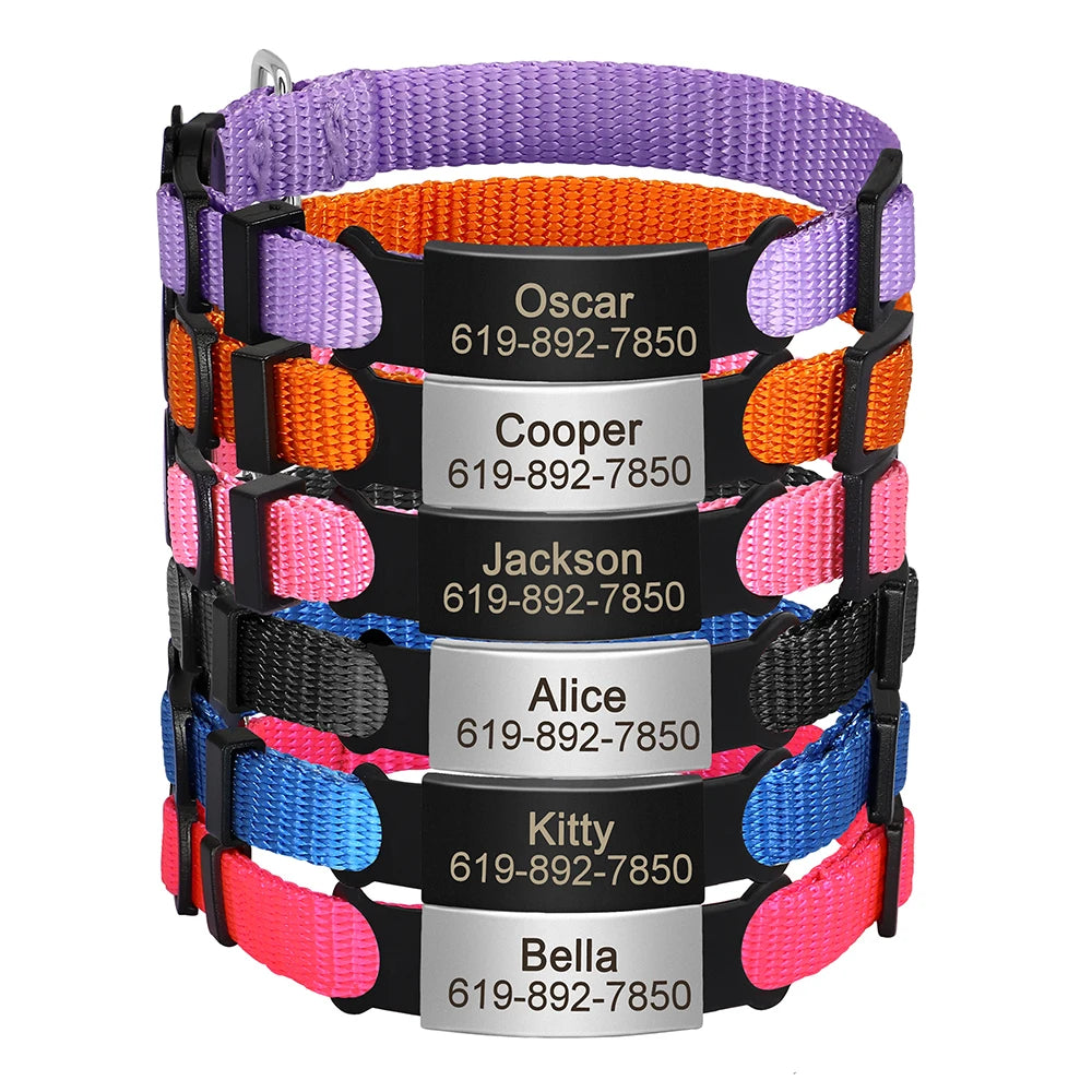 Personalized Nameplate Cat Collar – Custom Engraved Safety Collar with Bell for Cats & Kittens