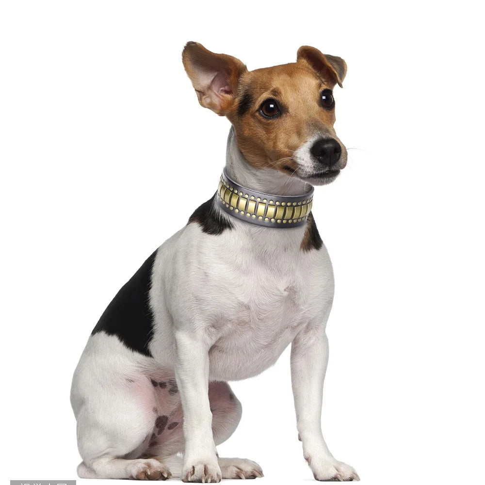 2-Inch Wide Luxury Leather Dog Collar with Durable Rivets – Stylish & Strong for Medium & Large Dogs