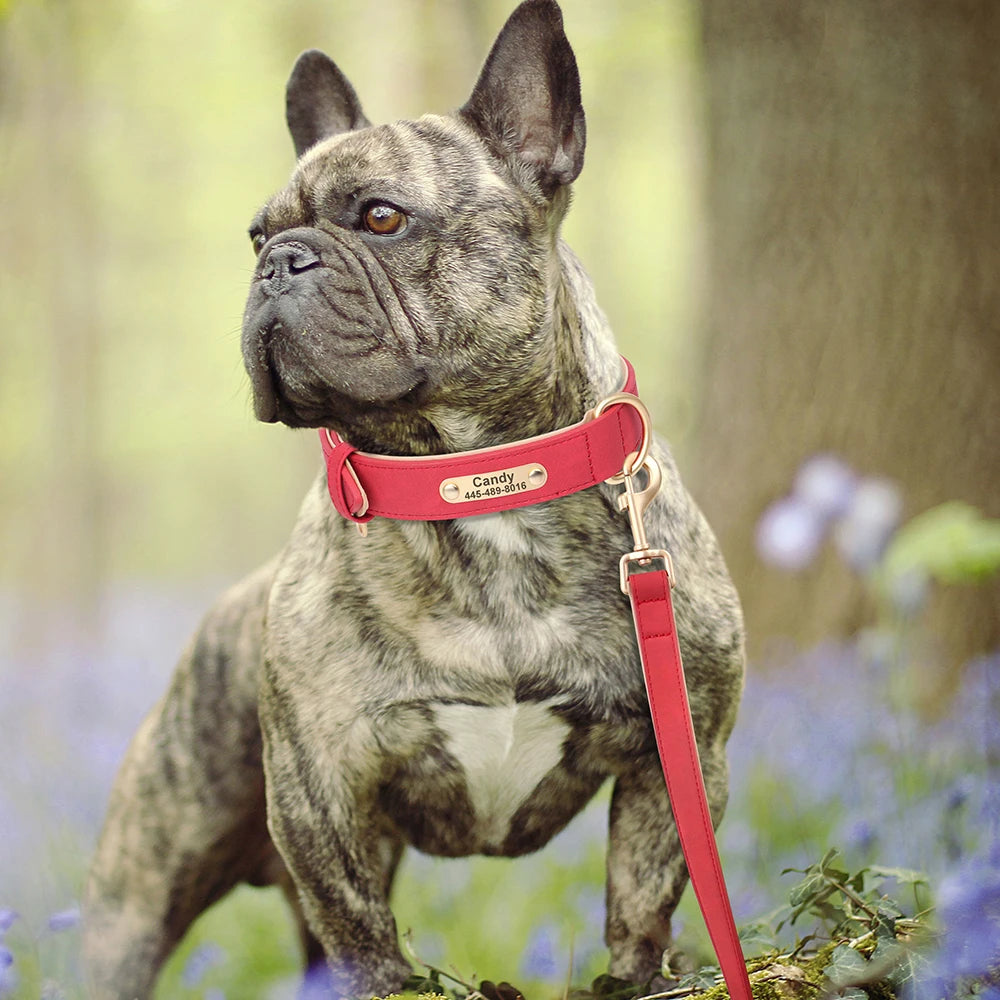 Custom PU Leather Dog Collar & Leash Set – Personalized Engraved Nameplate ID Tag for Small & Medium Dogs