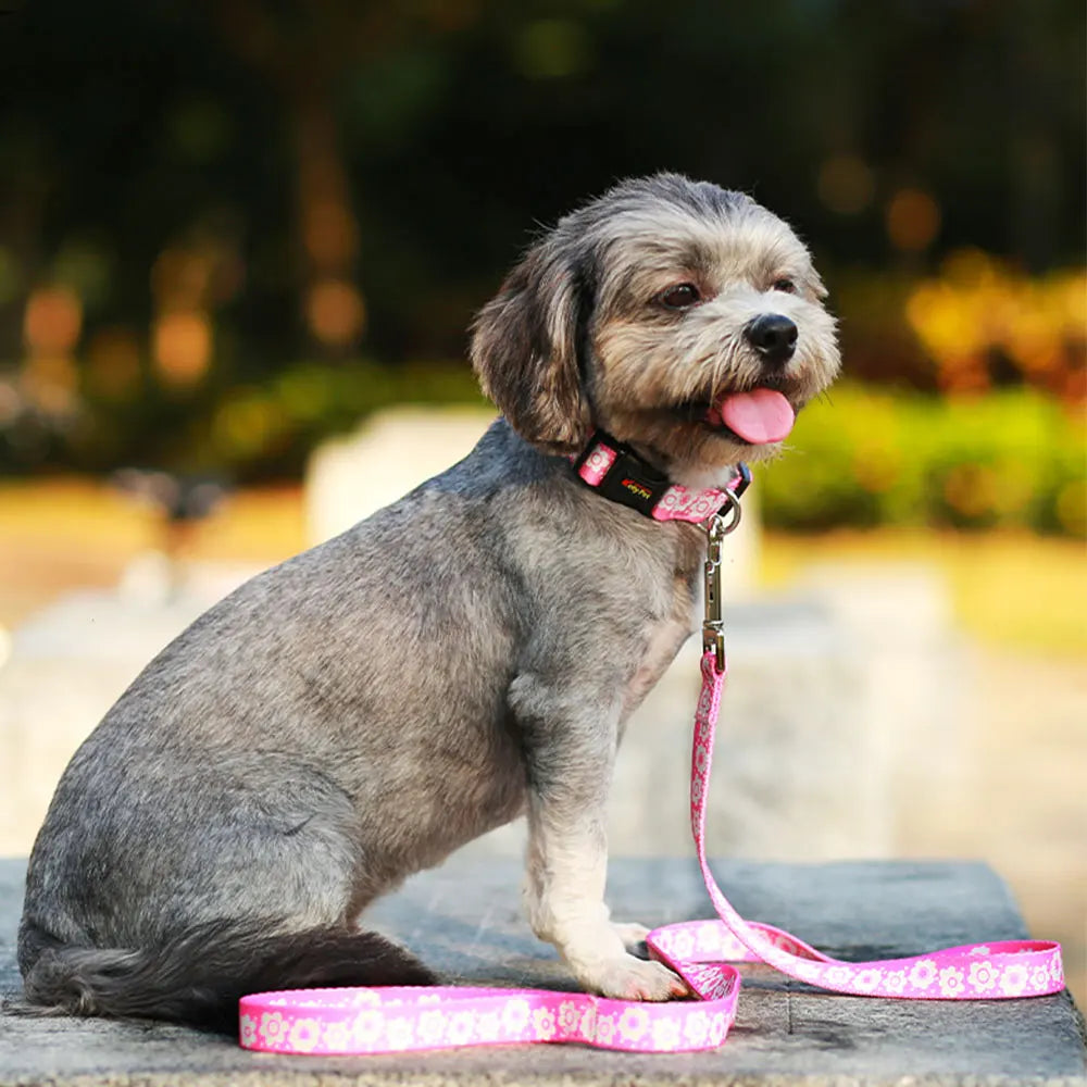 Cute Puppy Dog Collar & Leash Set – Adjustable Printed Nylon Collar with Matching Lead for Small Dogs & Cats (Flower/Bone/Striped Prints)