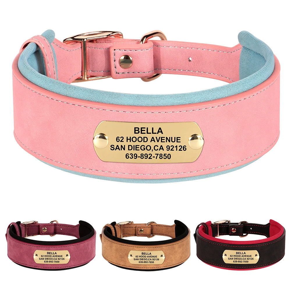 Customized Engraved Wide Leather Dog Collar – Soft Padded for Medium & Large Dogs