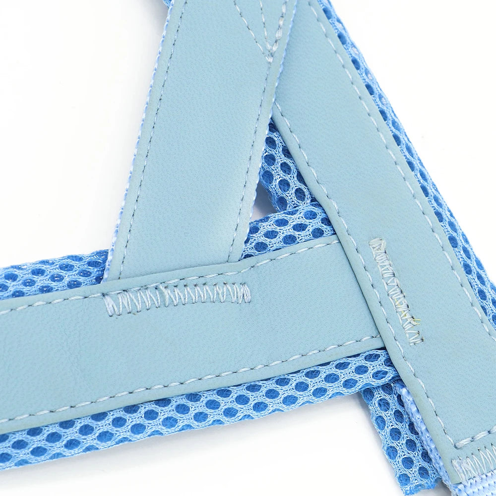 Personalized Dog Harness – Adjustable Engraved Mesh & Leather Vest for Small, Medium & Large Dogs (XS–XL)