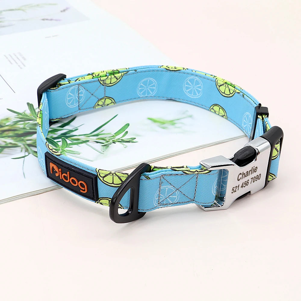 Personalized Nylon Dog Collar with Engraved Nameplate – Custom ID Tag for Small, Medium & Large Dogs