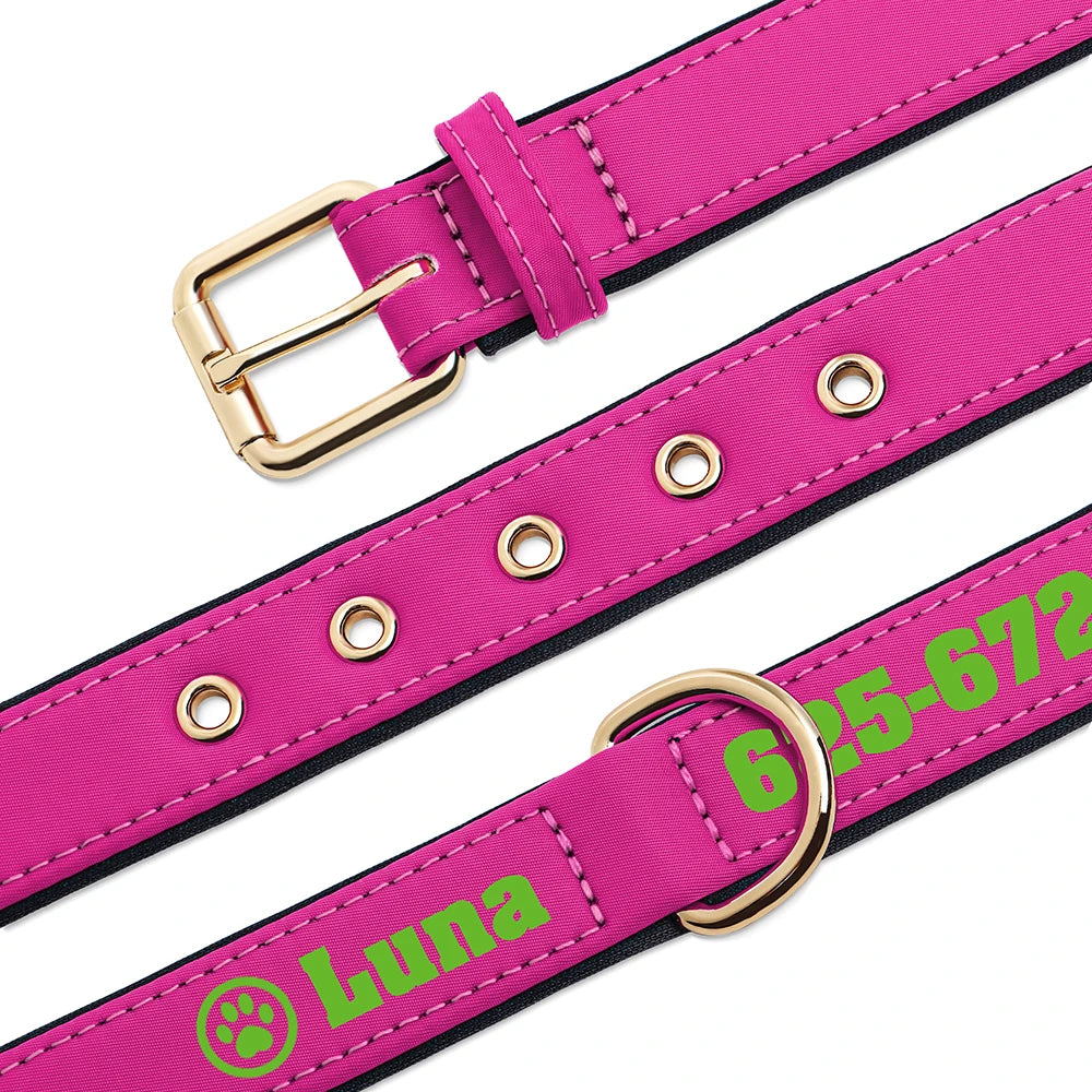 Custom Leather Dog Collar – Free Name & Number | Soft Padded & Adjustable