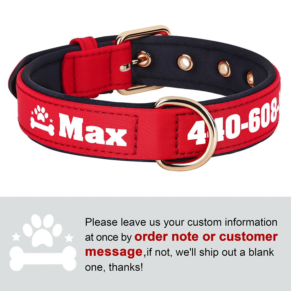 Custom Leather Dog Collar – Free Name & Number | Soft Padded & Adjustable