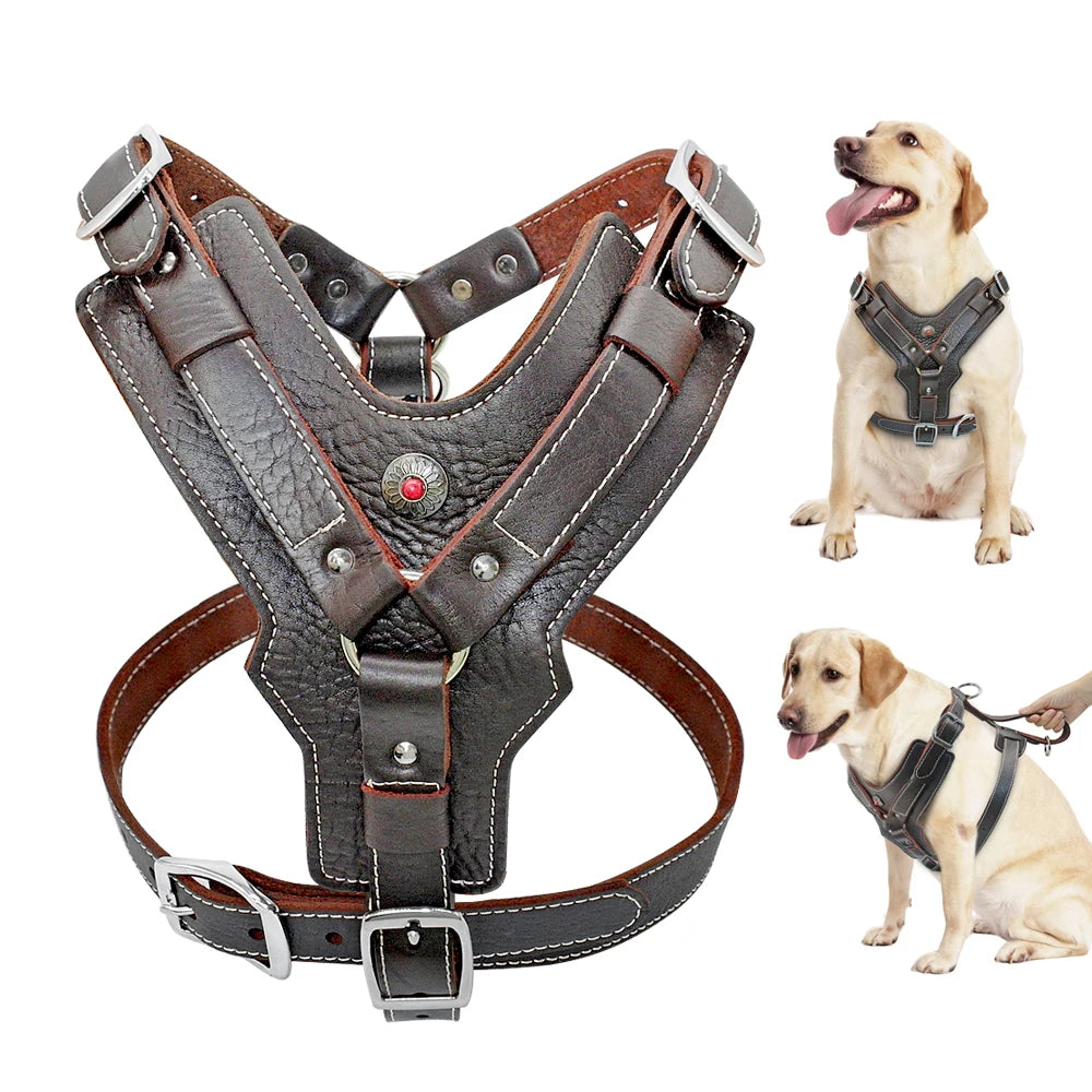Genuine Leather Dog Harness – Durable Adjustable Large Dog Vest with Quick Control Handle &amp; Heavy-Duty Hardware (Pitbull, Bulldog, Labrador)