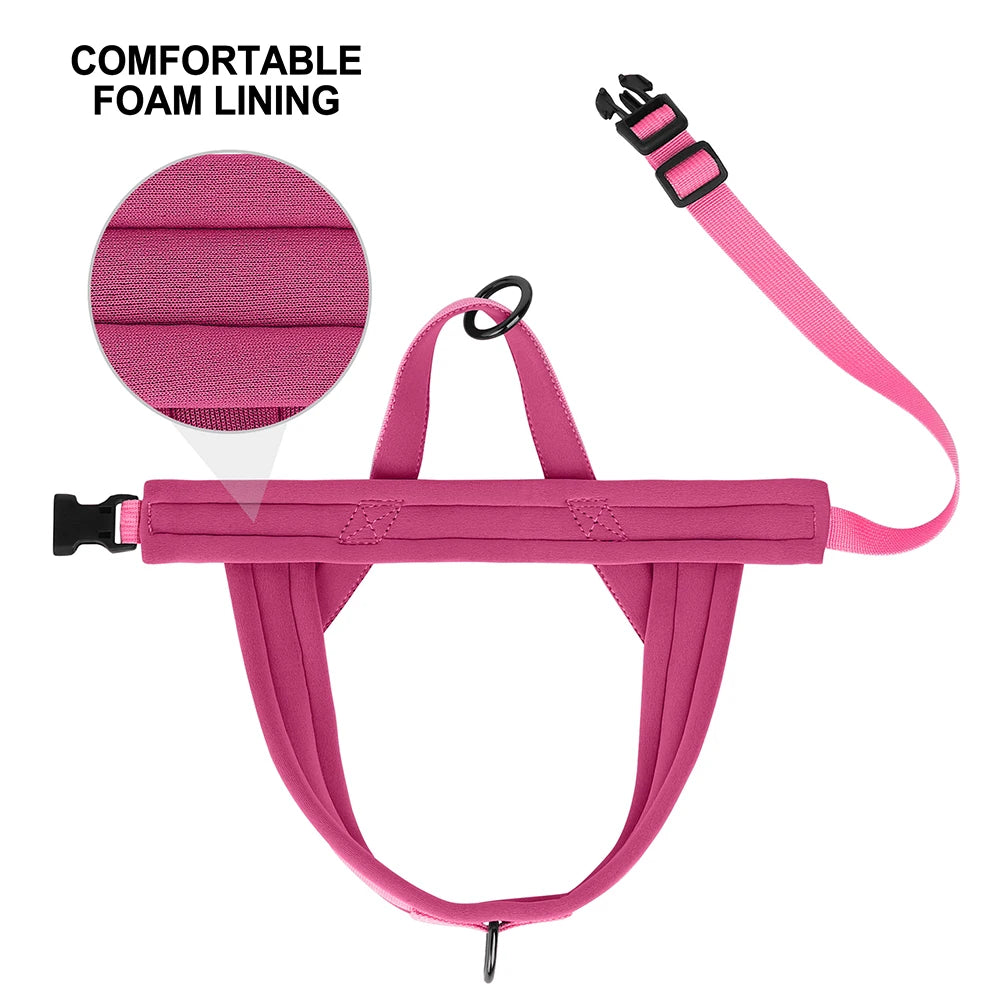 Nylon Padded Dog Harness Vest – Adjustable No Pull Soft Pet Harness for Small & Medium Dogs (French Bulldog, Chihuahua, Puppy, Cat Vest)