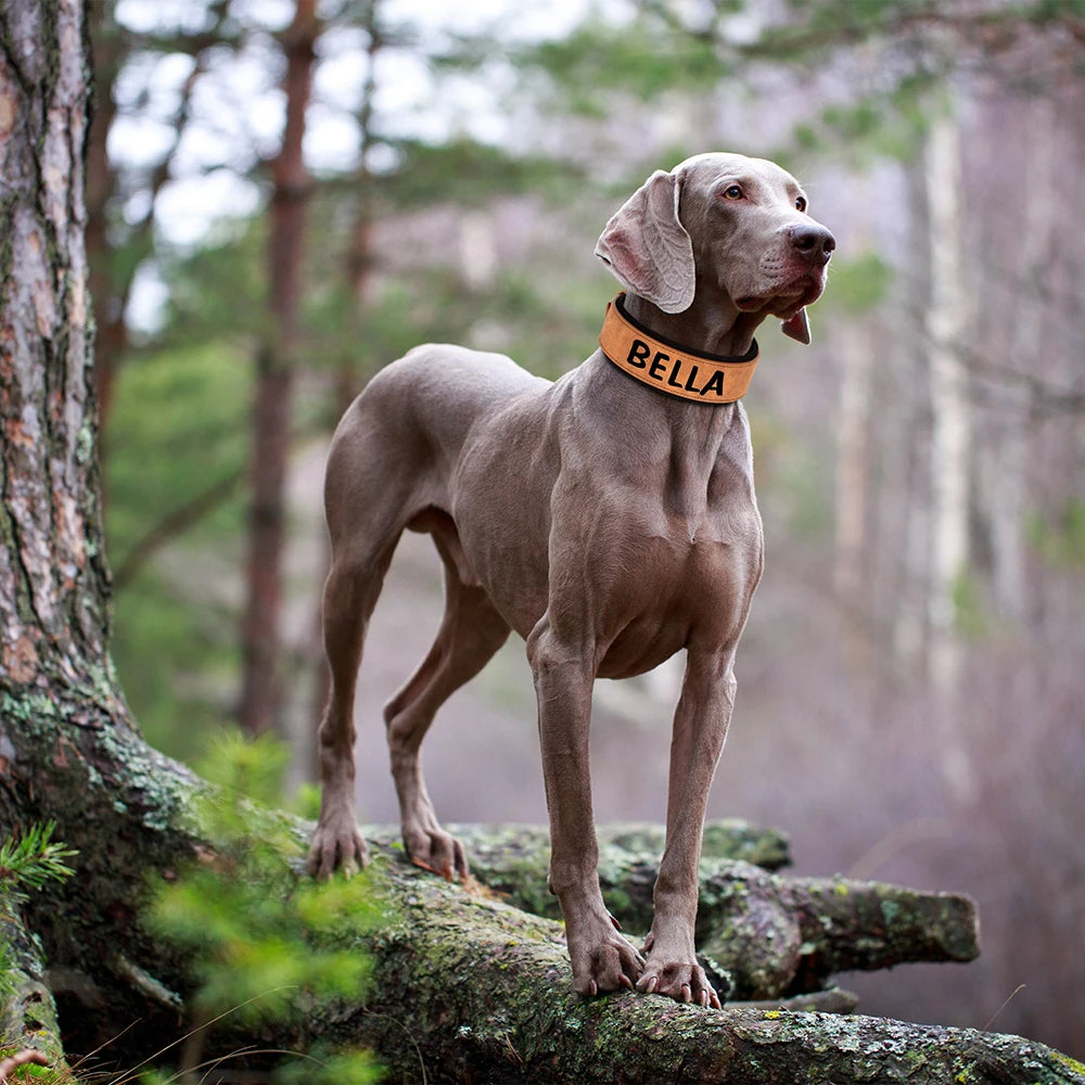 Custom Print Dog Collar – Wide Soft Padded PU Leather Name Collar for Medium & Large Dogs (Free Personalized Print)