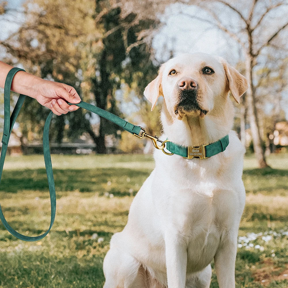 🦴 Personalized Dog Collars Collection – Custom Engraved, Stylish & Secure 🐾
