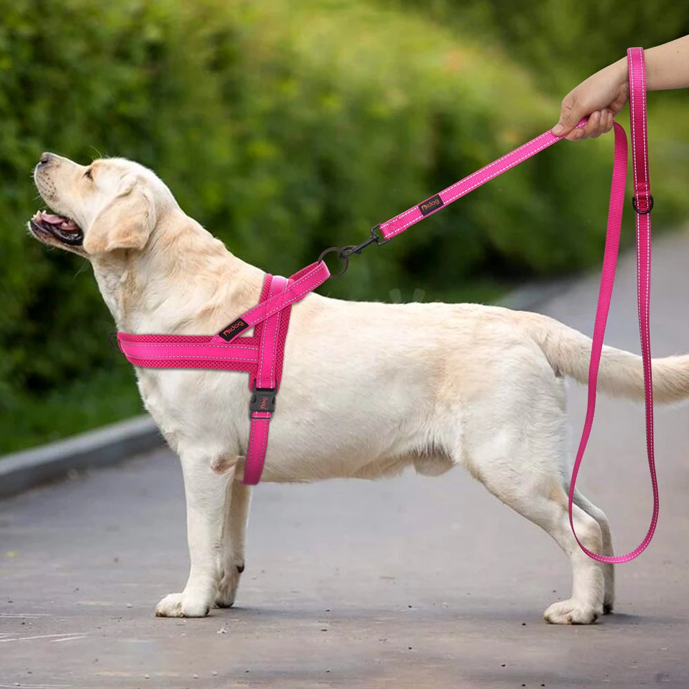 Nylon Reflective Dog Leash – Soft &amp; Durable Pet Lead
