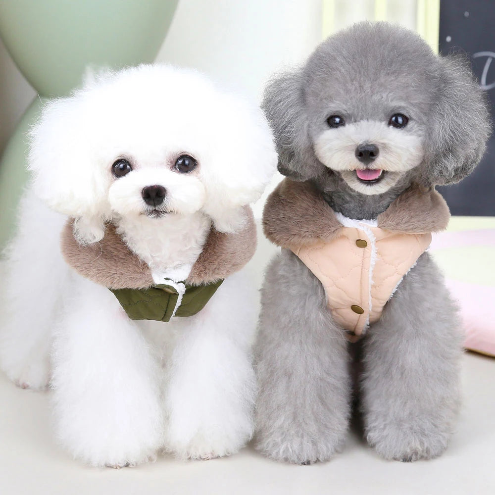Winter Dog Coat with Fur Collar – Waterproof Warm Jacket for Small & Medium Dogs