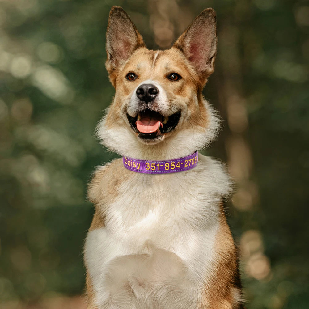 🦴 Custom Embroidered Reflective Dog Collar – Personalized Pet ID Name Nylon Collar for Small, Medium & Large Dogs
