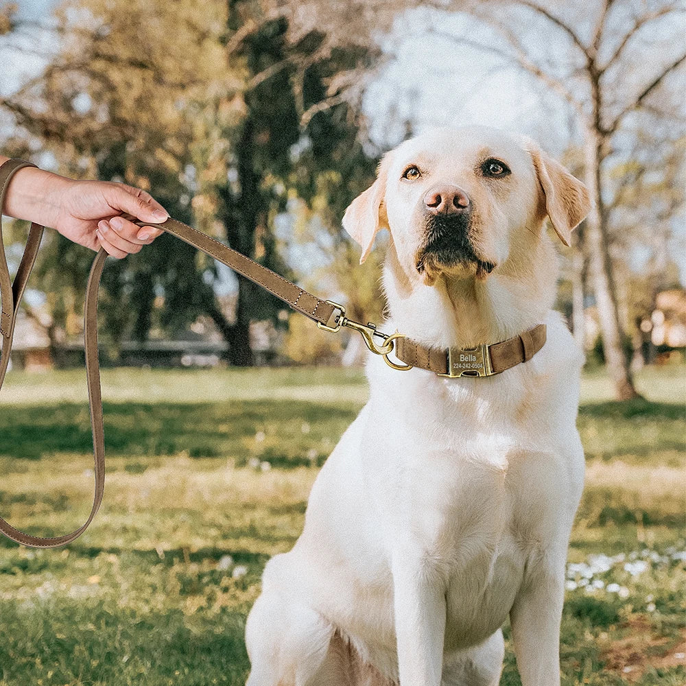 🦴 Personalized Dog Collars Collection – Custom Engraved, Stylish & Secure 🐾