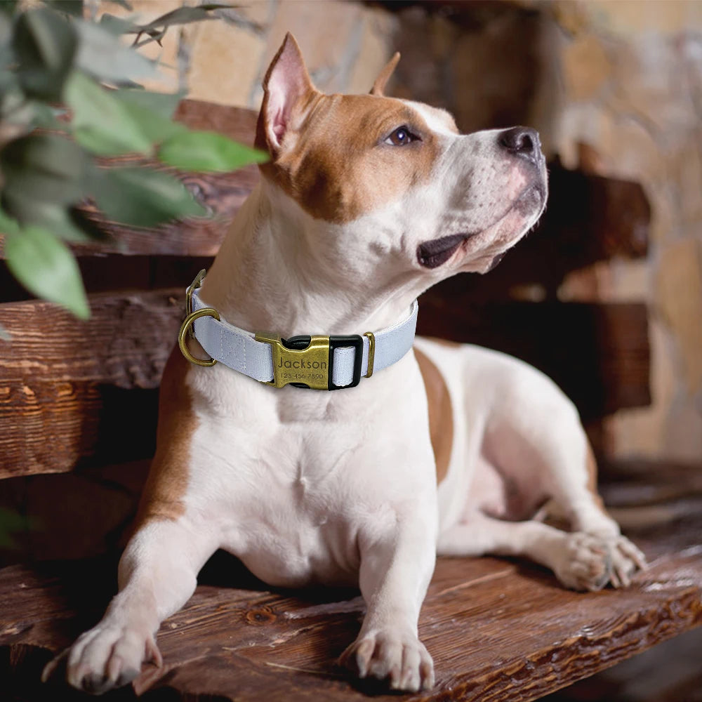 Adjustable Personalized Dog Collar – Custom Engraved Nylon Pet ID Collar | For Small, Medium & Large Dogs