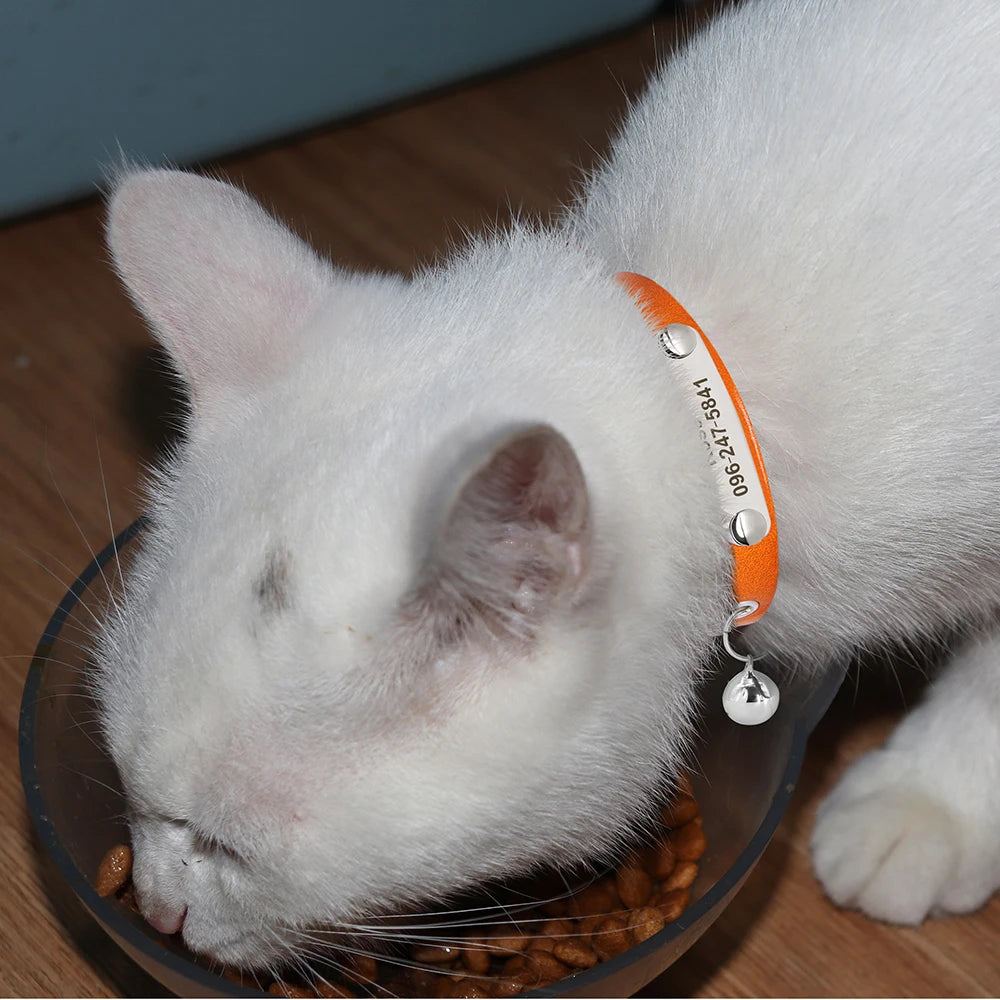 Personalized Leather Cat Collar – Adjustable Kitten & Puppy Collar with Free Engraved ID Tag