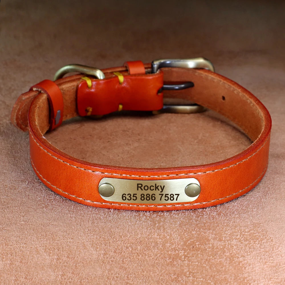 Custom Dog Collar – Personalized ID Tag Collar for Small, Medium, and Large Dogs