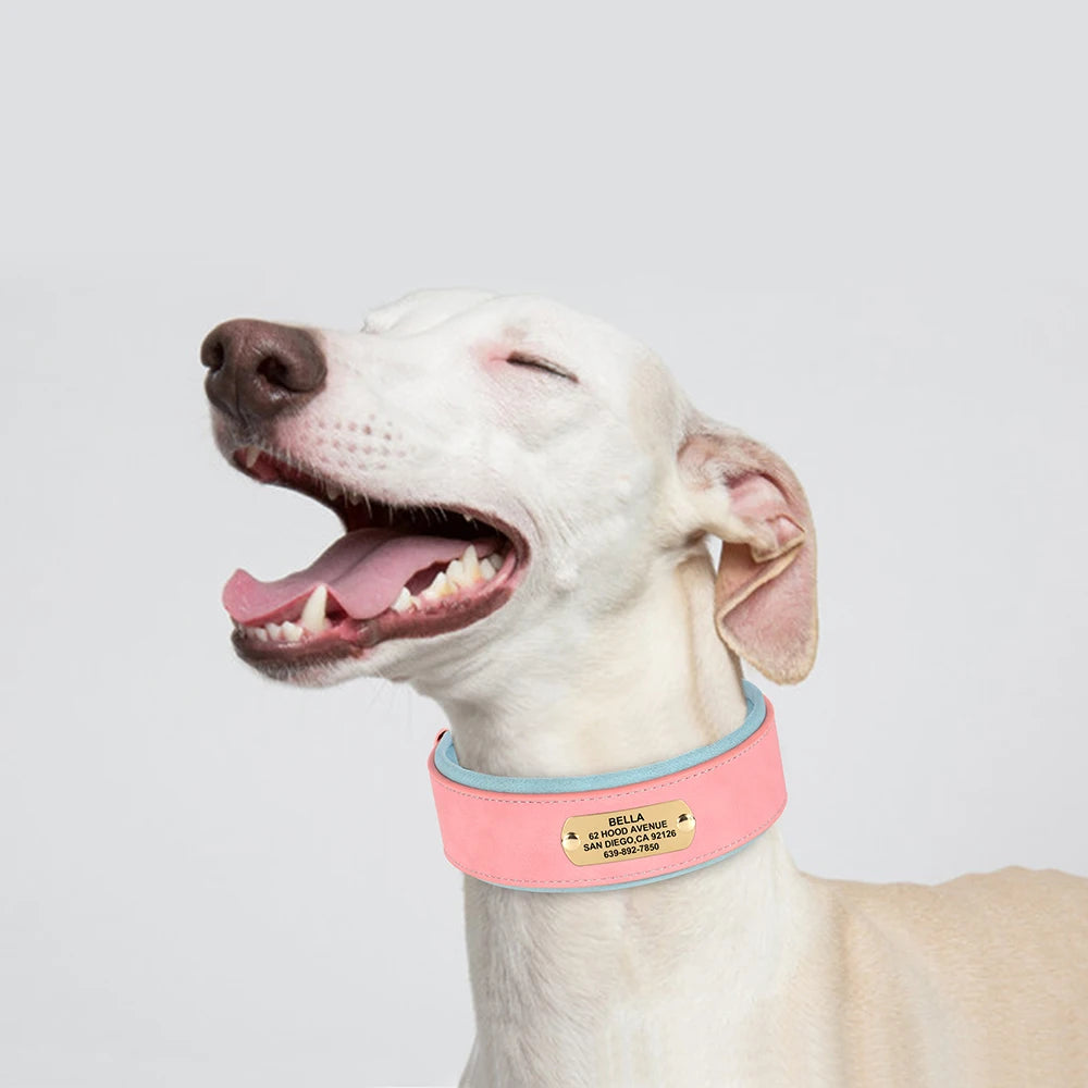 Customized Engraved Wide Leather Dog Collar – Soft Padded for Medium & Large Dogs