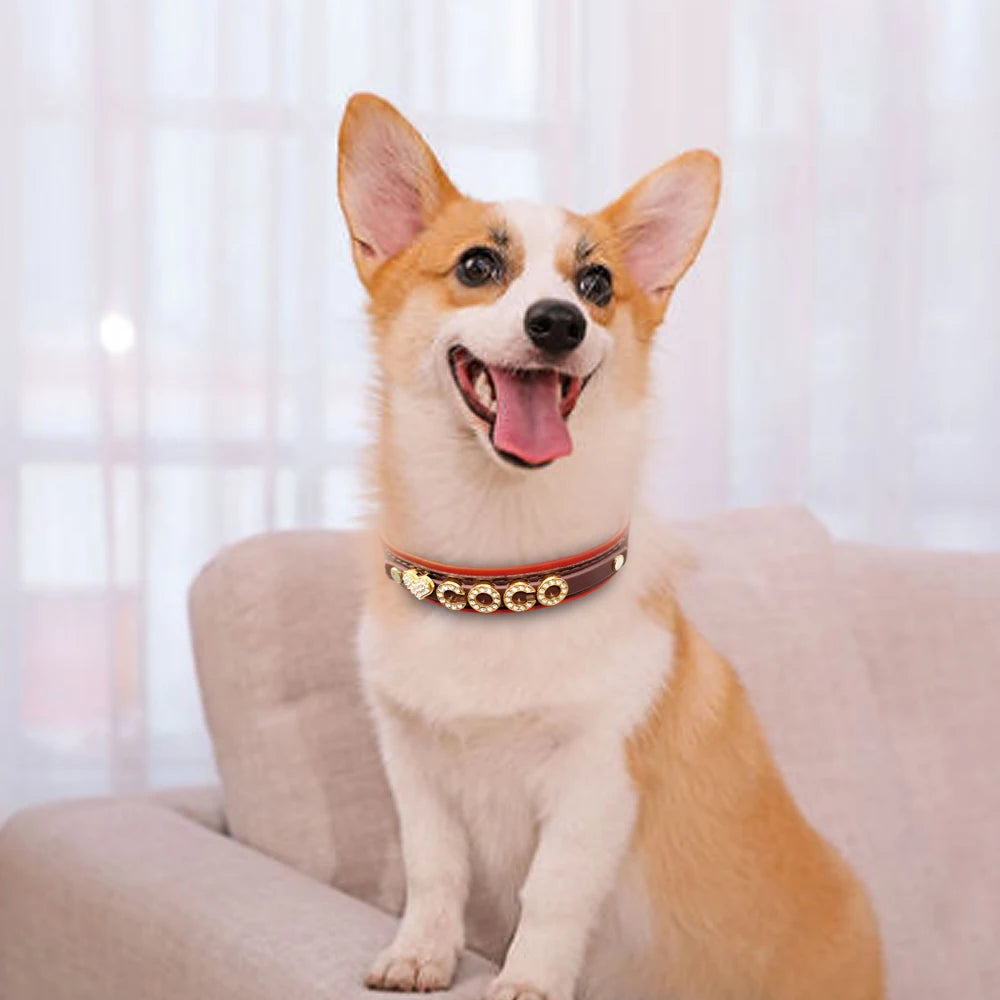 Personalized Small Dog Cat Collar – DIY Rhinestone Bling Charm
