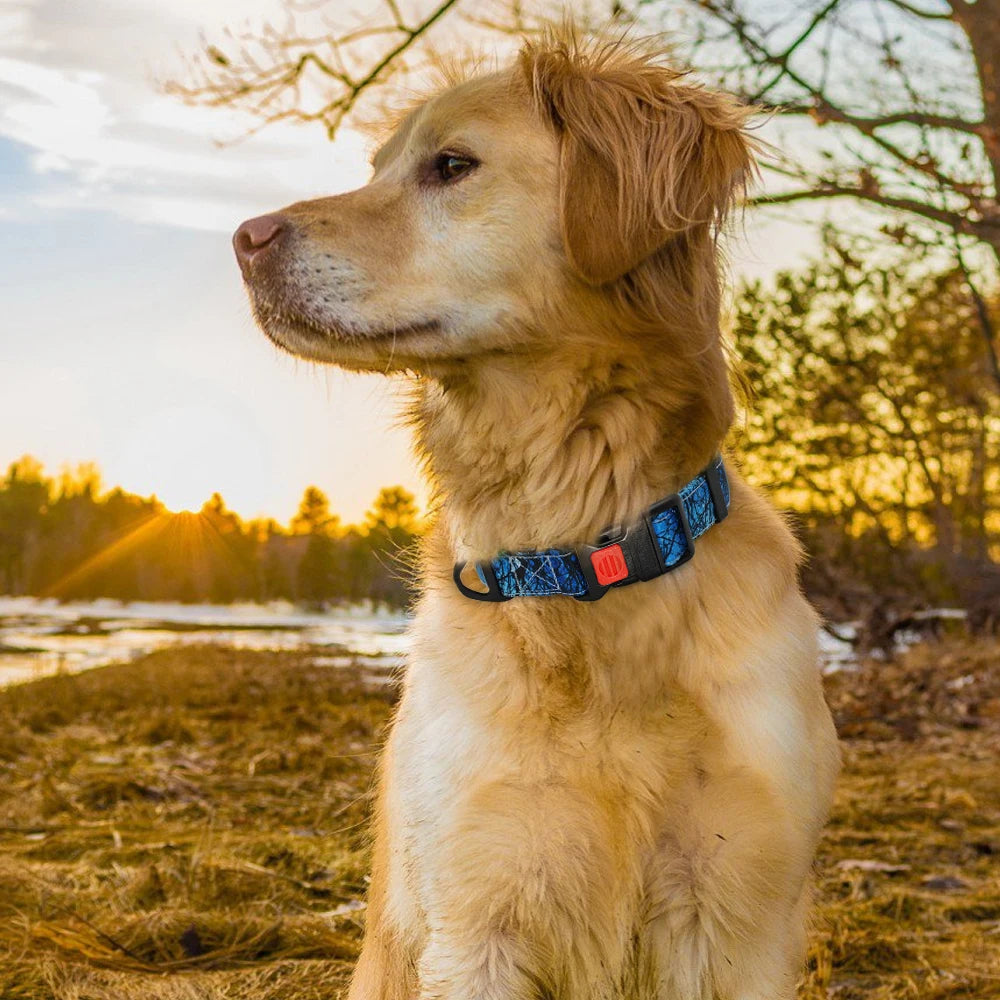 Nylon Custom Dog Collar & Leash Set with Personalized Leather Nameplate – Adjustable ID Tag for Small, Medium & Large Dogs
