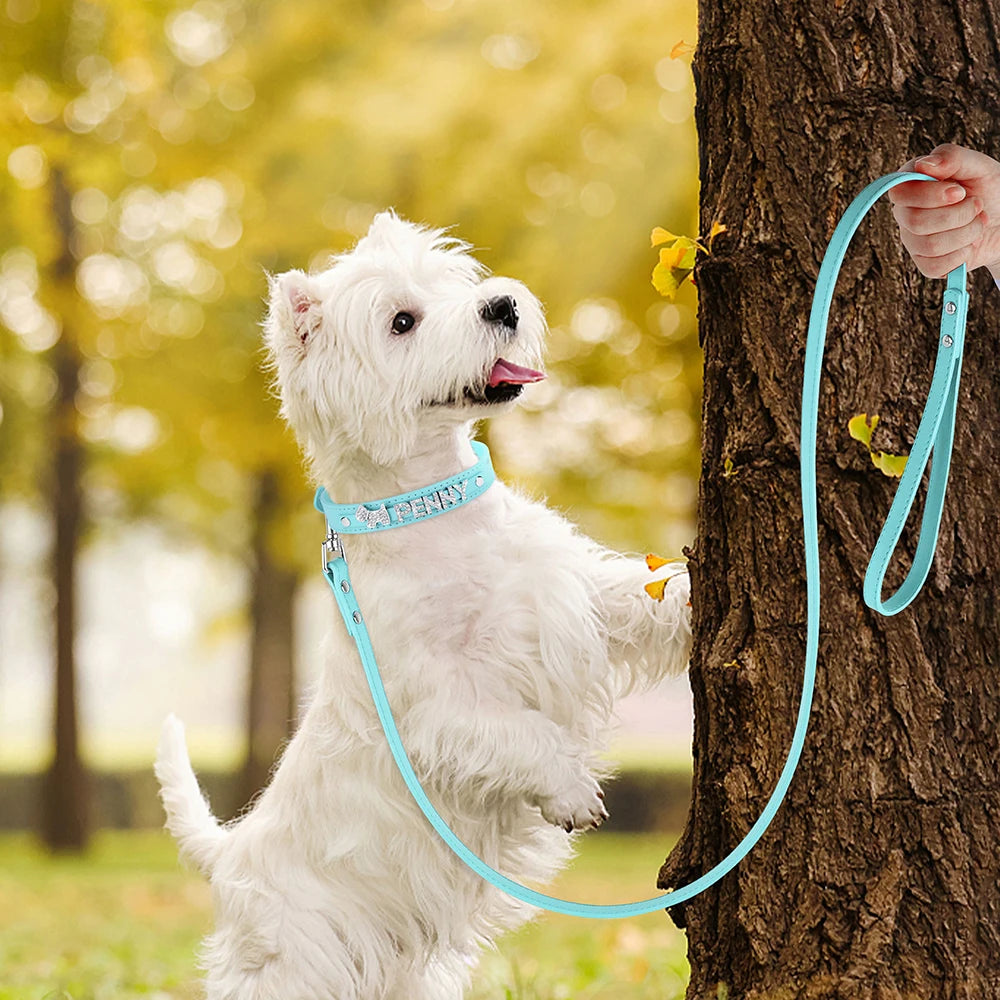 ✨ Personalized Bling Dog Collar & Leash Set – Custom Name with Rhinestones for Small & Medium Pets ✨