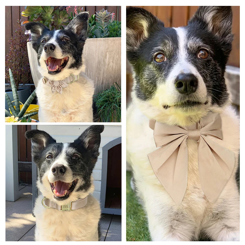 Personalized Silk Dog Collar with Bowtie & Flower – Custom Engraved ID Tag | Adjustable Wedding Collar for Small, Medium & Large Dogs