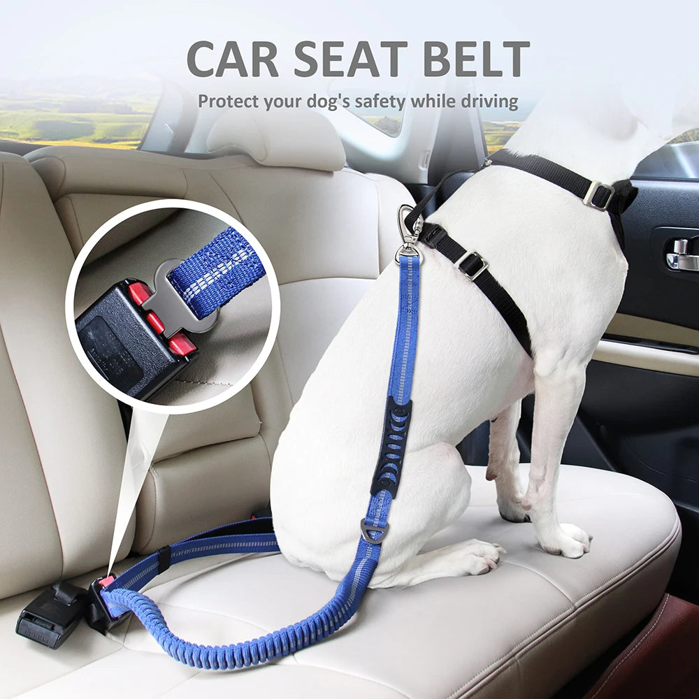 Reflective Dog Leash with Car Seat Belt Clip – Durable Lead for Medium & Large Dogs (Running, Walking, Training)