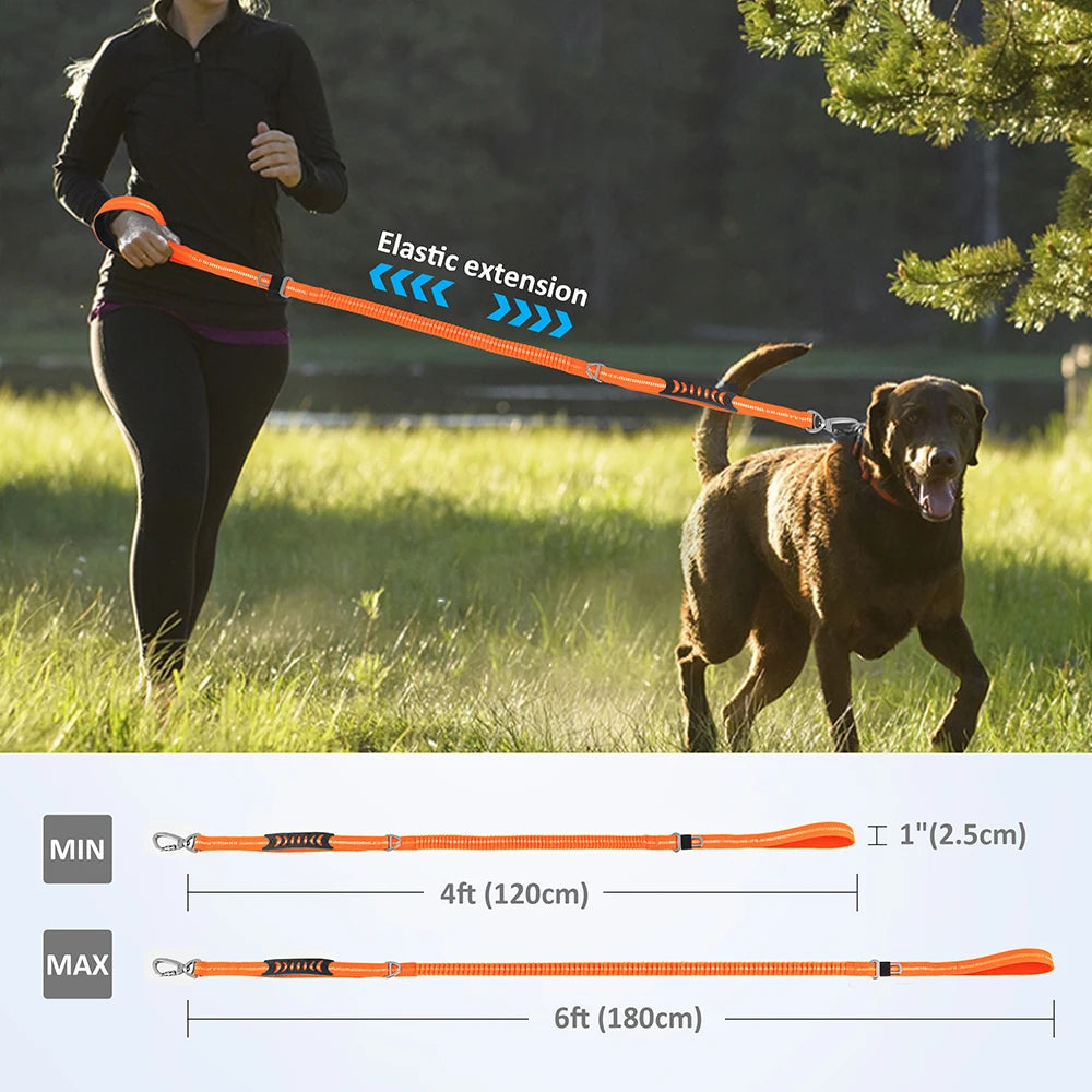 Reflective Dog Leash with Car Seat Belt Clip – Durable Lead for Medium & Large Dogs (Running, Walking, Training)