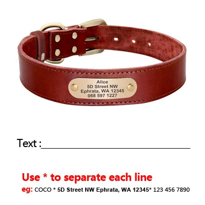 🦴 Custom Leather Dog Collar & Leash Set — Personalized for Safety & Style 🐾