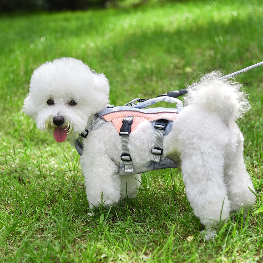 Summer Ice Cooling Dog Harness Vest Reflective Pet Harness Clothes for Small Medium Large Dogs Outdoor Pet Cool Down Jackets