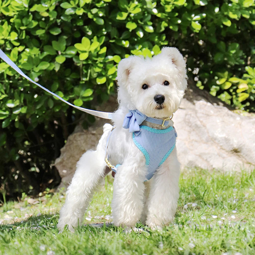 3pcs/lot Dog Collar Harness and Leash Set – Cute Bowtie Design for Small & Medium Dogs