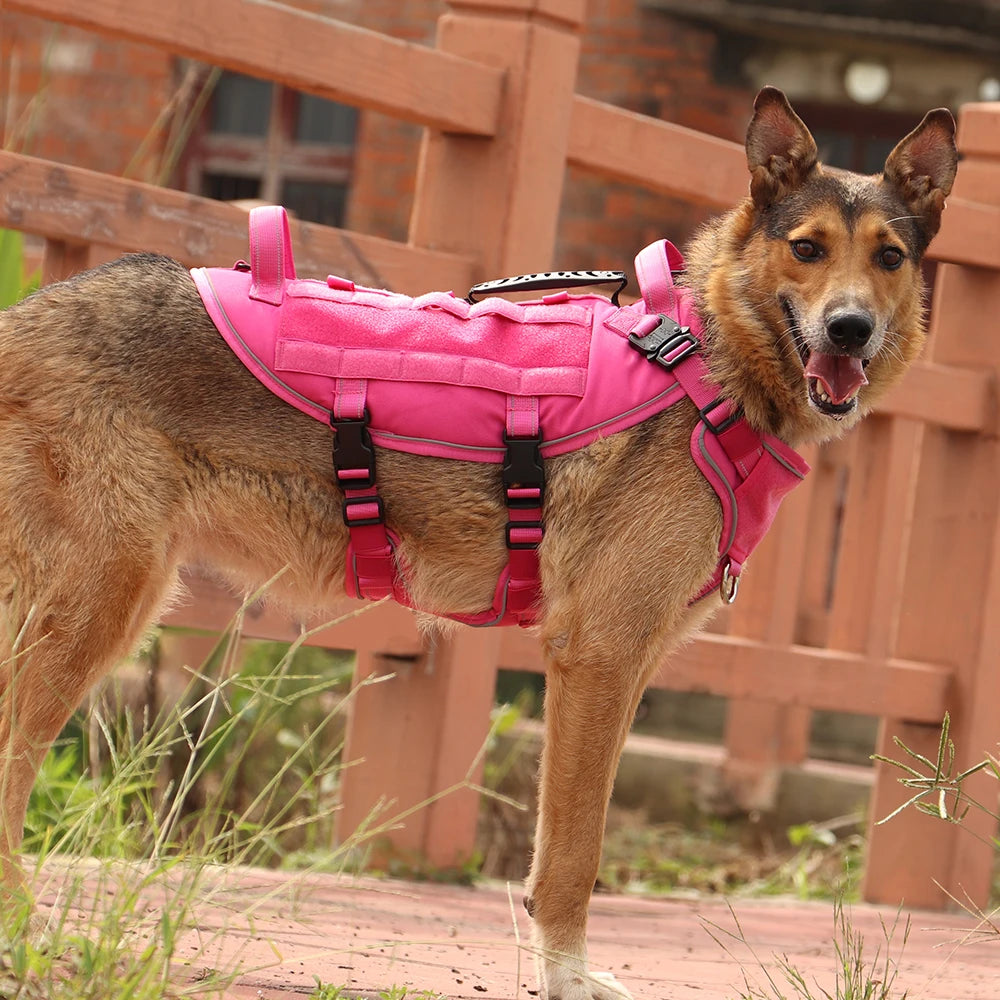 Quick Control Tactical Dog Harness – No Pull Military Training Vest with Handle & Molle System for Medium & Large Dogs