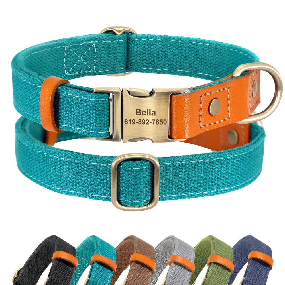 Nylon Custom Dog Collar & Leash Set – Personalized with Leather Nameplate