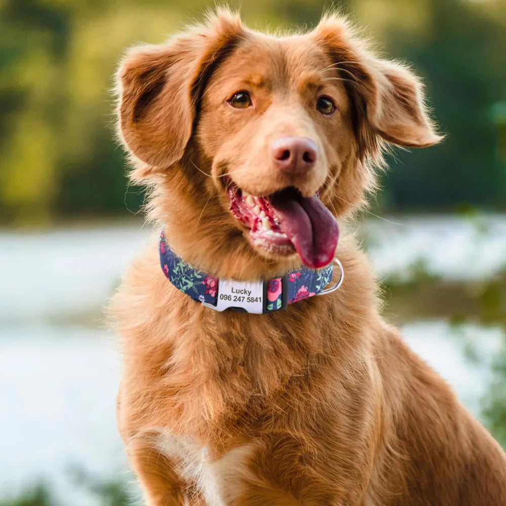 🎨 Personalized Nylon Dog Collar – Free Engraving, Adjustable Fit for Small to Large Dogs