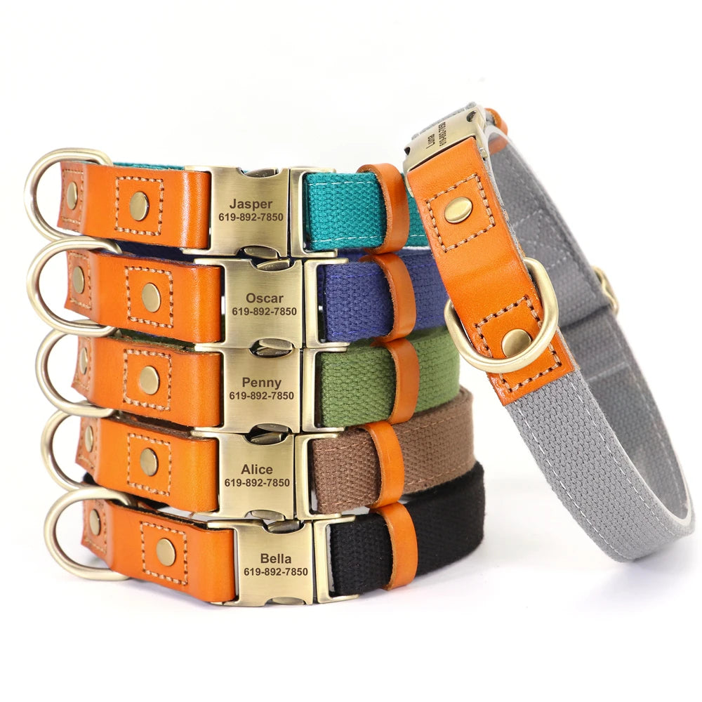 Nylon Custom Dog Collar & Leash Set – Personalized with Leather Nameplate