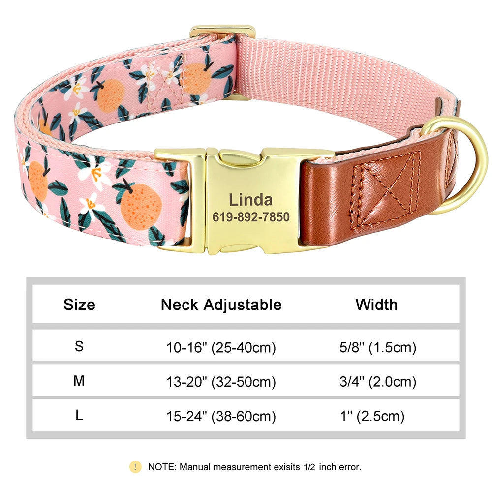 ✨ Personalized Nylon & Leather Dog Collar – Free Custom Engraving Included!